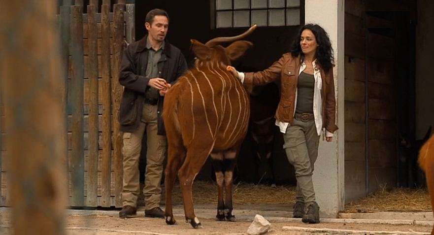 Sinais de Vida – Episódio 5