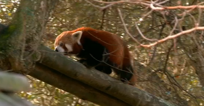 Sinais de Vida – Episódio 31