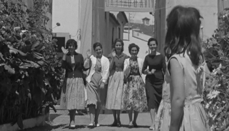 Concurso de janelas floridas em Abrantes