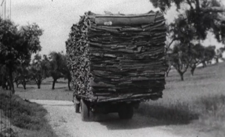Greve dos trabalhadores da indústria da cortiça