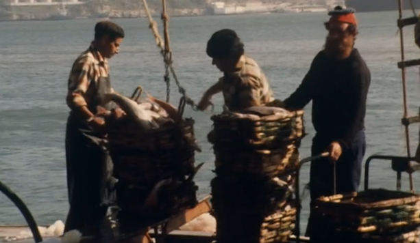 Descarregamento de peixe capturado na Docapesca