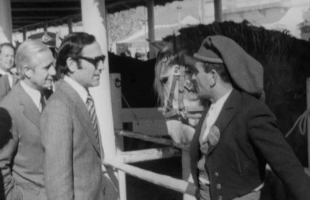 Feira de São Martinho na Golegã