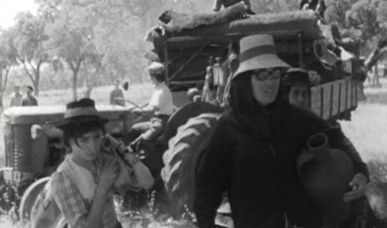 Apanha da cortiça na Herdade de Padrões em Grândola