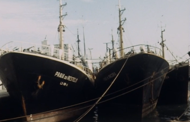 Novo acordo de pesca entre Portugal e a Mauritânia