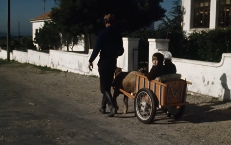 Feliz Natal da redação do programa “País, País” da RTP