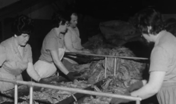 Trabalhadores da INTAR aderem à batalha da produção