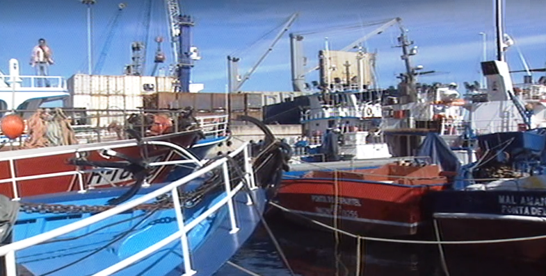 Relatório da UE sobre renovação das frotas pesqueiras