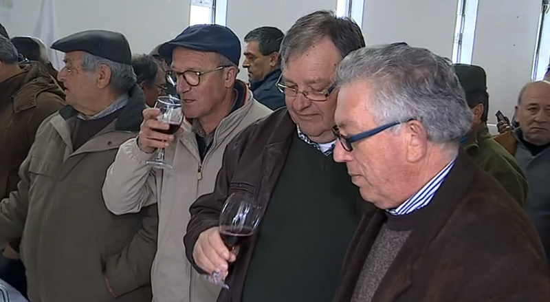 Prova de vinhos caseiros em Belmonte