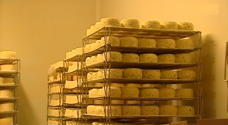 Queijo “O Morro” distinguido