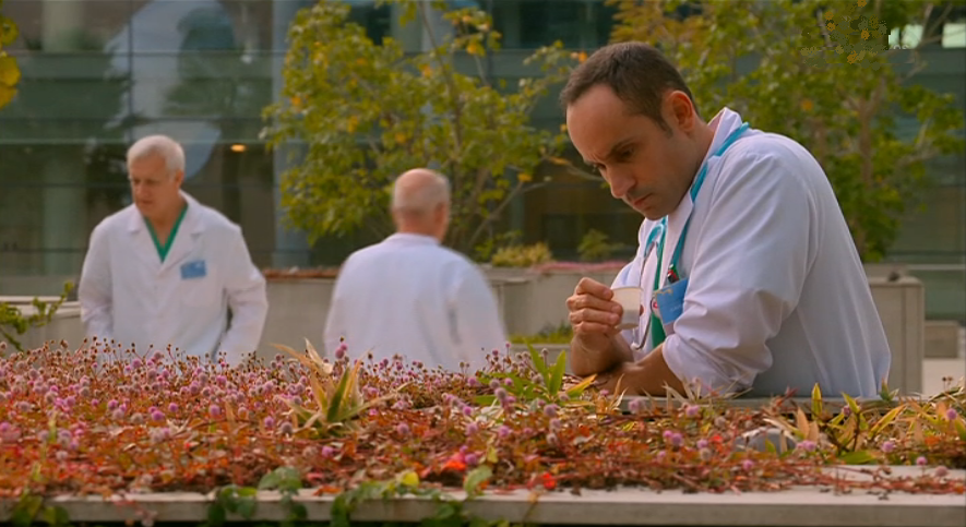 Sinais de Vida – Episódio 59