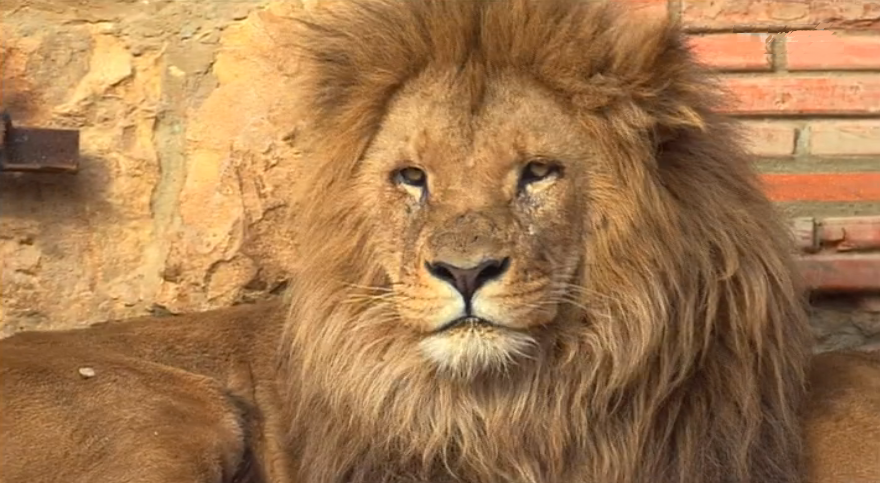 Sinais de Vida – Episódio 64