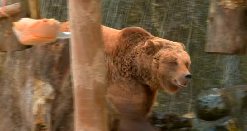 Sinais de Vida – Episódio 69