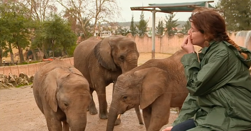 Sinais de Vida – Episódio 77