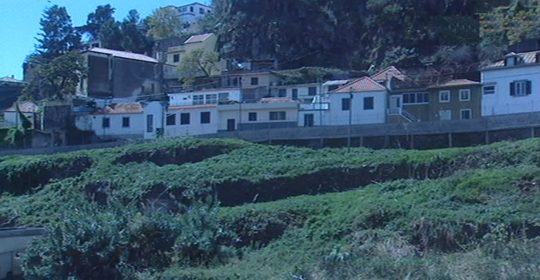 Terrenos abandonados no Funchal