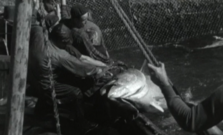 Limite para zonas de pesca em Portugal