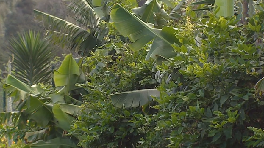 Agricultura biológica em Portugal