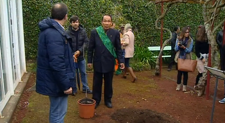 Jardim do Faial recebe árvore Kaki