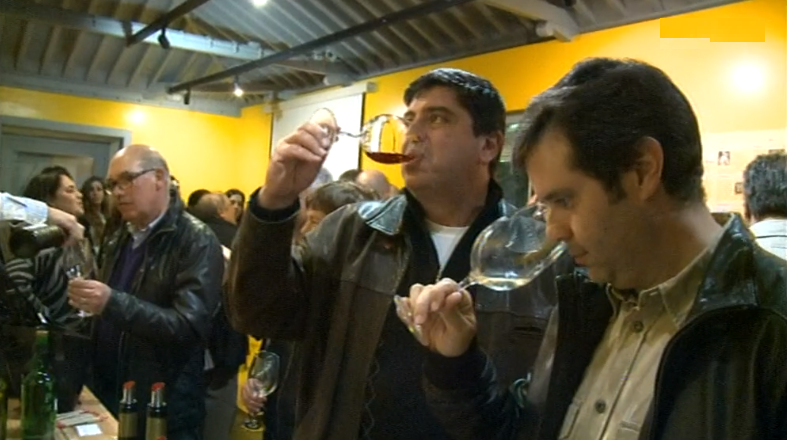 Enoteca itinerante na Madalena do Pico