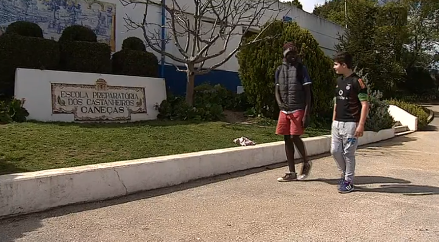 Programa professores tutores