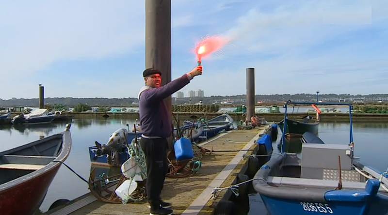 A Escola vai à lota I