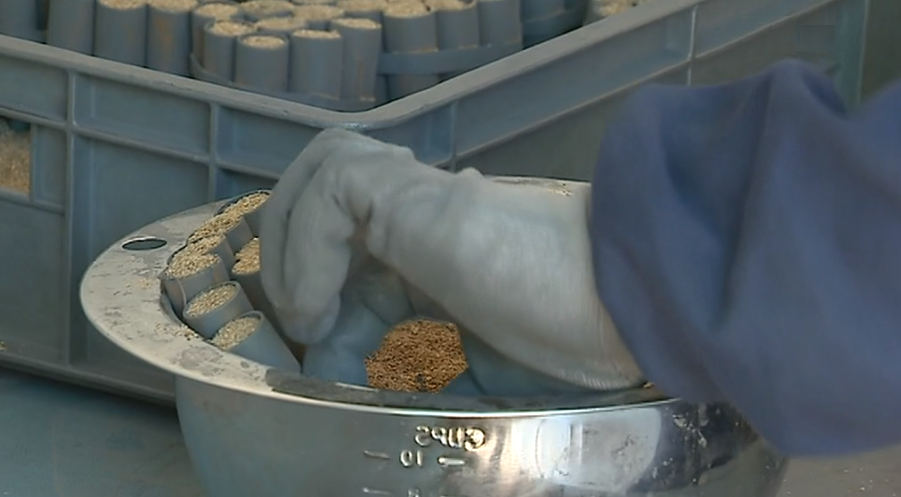 Regras de segurança para as empresas de pirotecnia