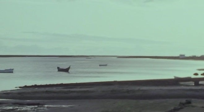 O Polvo esse desconhecido