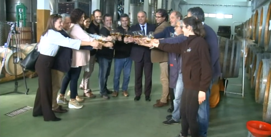 Madalena, Cidade do Vinho 2017