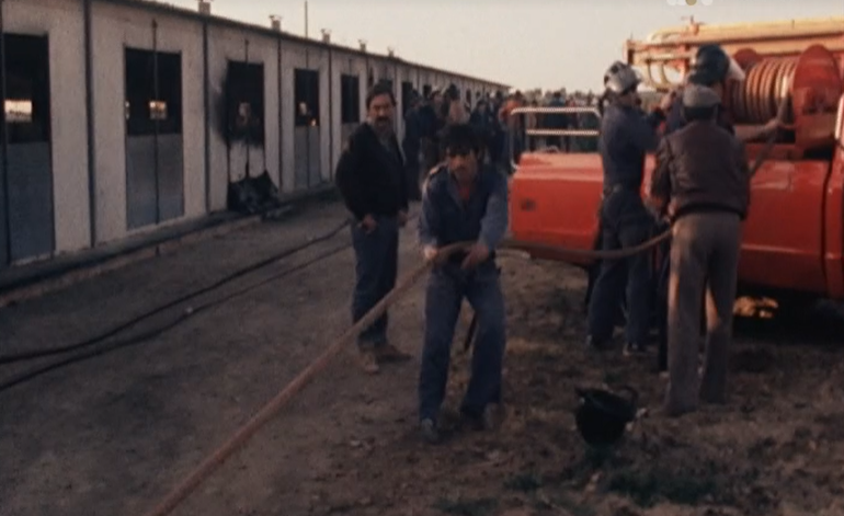 Incêndio em aviário de Peniche