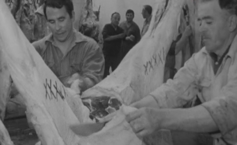 Ocupação de matadouro em Sintra