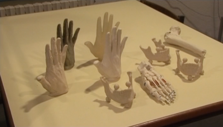 Biomateriais e Biomecânica