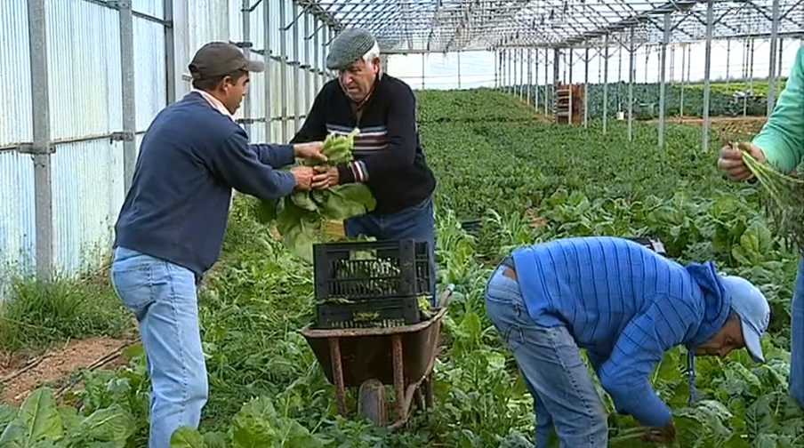 Agricultura biológica em Portugal