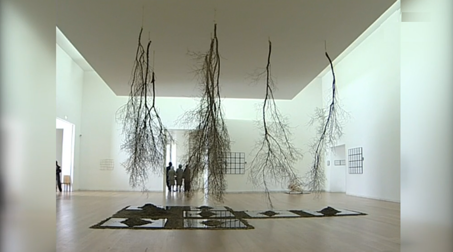 Morte de Alberto Carneiro