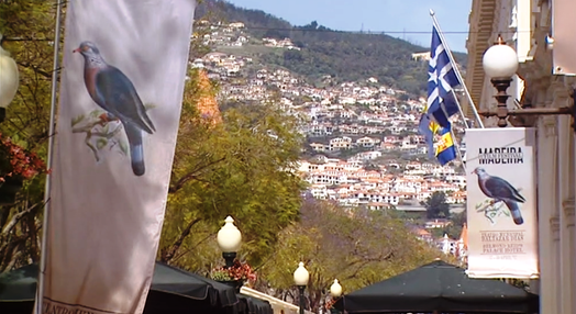 Madeira Film Festival