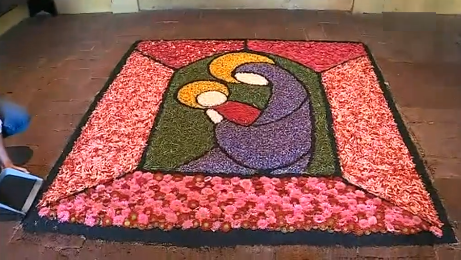 Exposição de flores no Sardoal