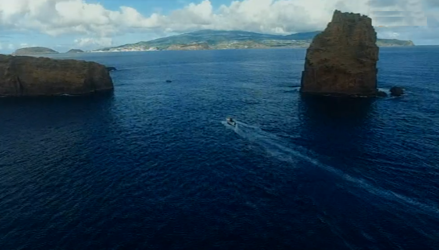 Limpeza subaquática nos ilhéus da Madalena