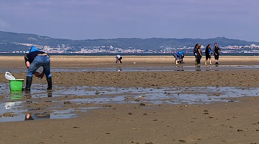 Campanha “Mariscar Sem Lixo”