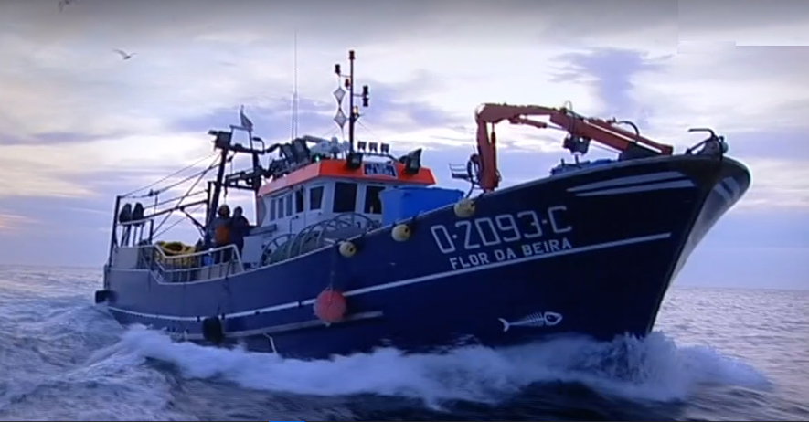 Pesca eficiente no CCMAR