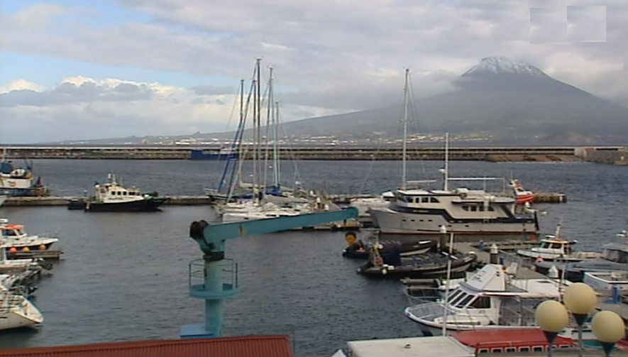 BE quer auditoria no Porto da Horta