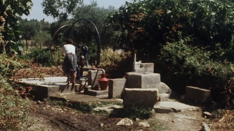 Alma pelo Mundo Repartida