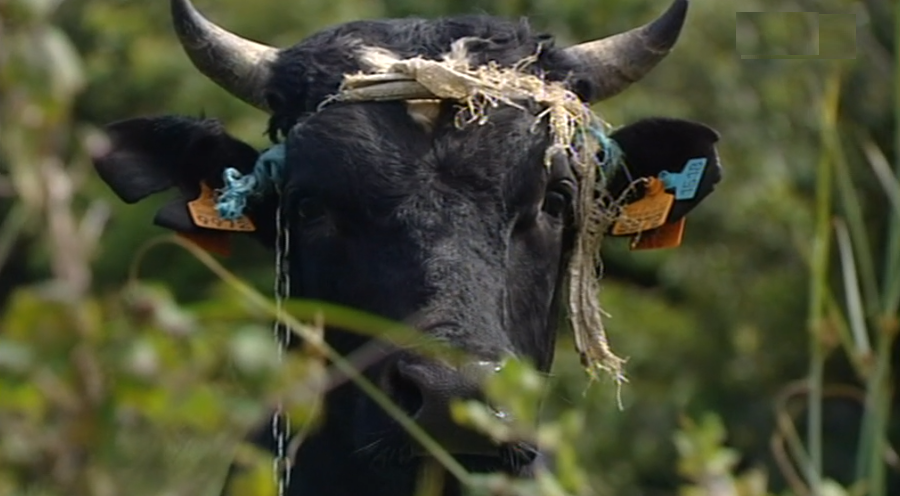 Reunião sobre o preço do Leite
