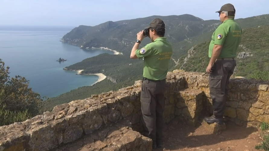 Vigilantes da natureza na Arrábida