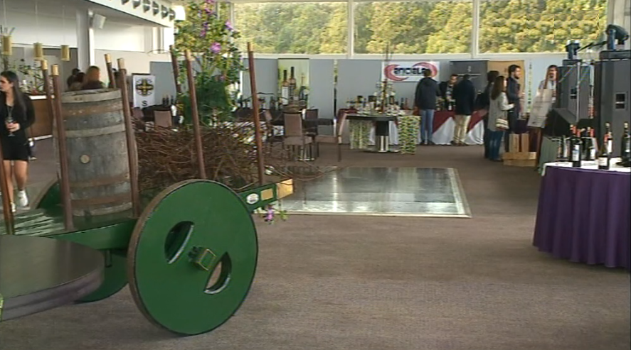 I Edição do “Praia Wine Festival”