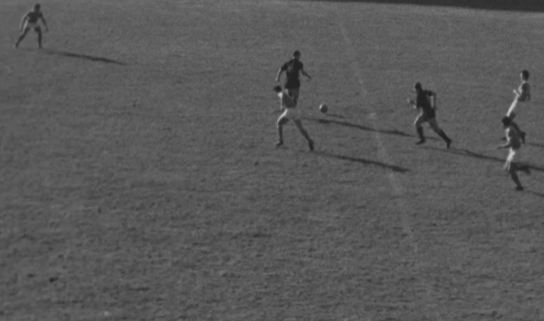 Futebol: Académica de Coimbra vs Sport Lisboa e Benfica