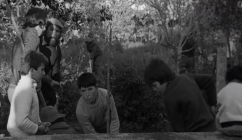 Ocupação de casa no Freixoeiro