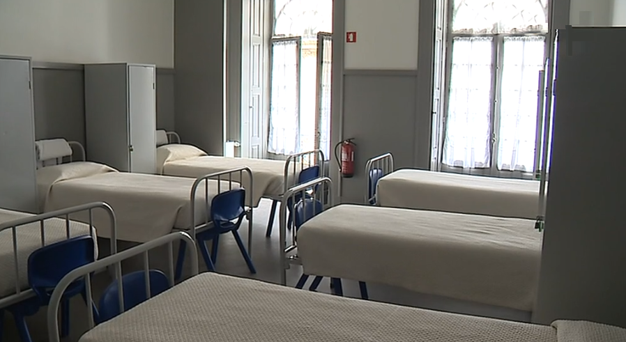 Projeto “Cogumelo Solidário” II