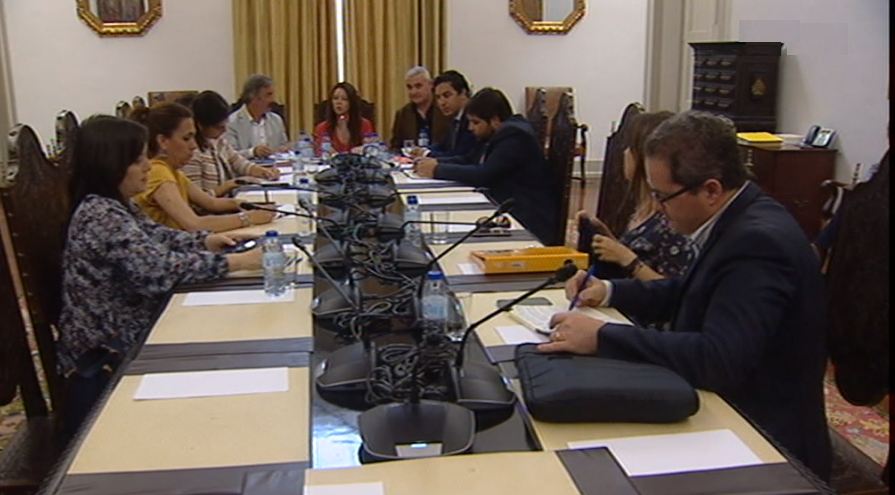 Ordem dos Enfermeiros na Comissão Parlamentar de Saúde