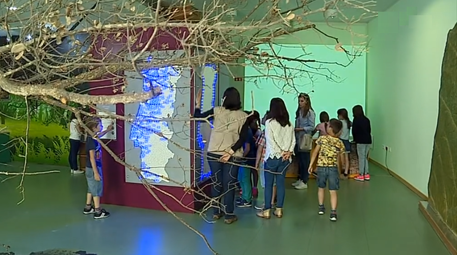 Centro Ciência Viva da Floresta em Proença-a-Nova I