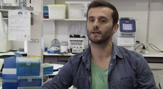 “Jovem Cientista 2017”