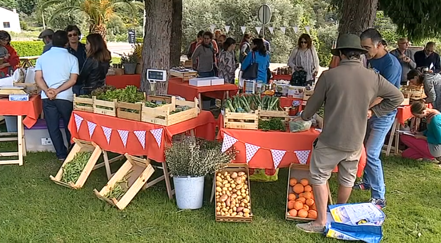 “Eco Mercado” em Castelo Novo