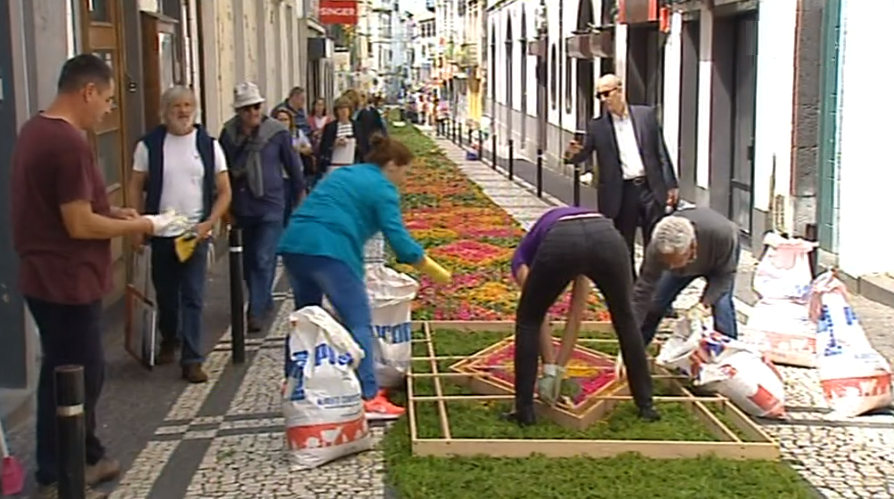 Tapetes florais nas festas do Senhor Santo Cristo